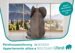zoom immagine (Attico 311 mq, soggiorno, 4 camere, zona Bolzano Centro Pedonale)