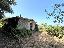 Villa in Vendita a Poggio Catino