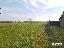 Terreno in Vendita a Corbetta