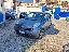 NISSAN Micra 1.2 5p. Visia