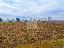 Terreno 12000 mq, zona Treville - Soranza