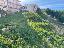 Terreno 800 mq, zona Marineo