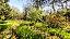 Terreno 15000 mq, zona Grole
