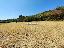 Terreno 17000 mq, zona Polpenazze del Garda