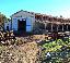 Azienda Agricola in Vendita a Monteverdi Marittimo