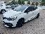 RENAULT Clio TCe 220 EDC 5p. Energy R.S. Trophy