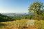 Terreno 120000 mq, zona Spiazzi
