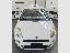 FIAT Punto 1.2 8V 5p. Easy
