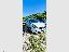 KIA Carens 1.7 CRDi 115 CV Cool