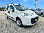 FIAT QUBO 1.4 8V 77 CV Dynamic Natural Power