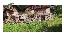 Rustico 300 mq, 2 camere
