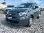 FIAT 500 1.0 Hybrid Pop