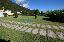 Terreno 1100 mq, zona Mosson