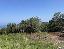 Terreno 28000 mq, zona Quargnenta