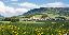 Appartamento 57 mq, 2 camere, zona Canove