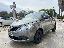 LANCIA Ypsilon 1.2 69 CV 5p. S&S Elefantino Blu