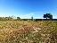Terreno 3739 mq, zona Castiglione del Lago