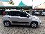 FIAT Panda 1.2 EasyPower Lounge