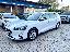 FORD Focus 1.5 E.Blue 120CV aut. SW Bs Co-P.