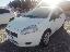 FIAT Punto 1.3 MJT 75CV 3p.Van Easy 2p.ti E5+