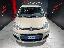 FIAT Panda 1.3 MJT 95 CV S&S Lounge