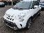 FIAT 500L 1.6 MJT 120CV Trekking PELLE CLIMA AUTOMATICO
