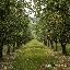 Terreno in Vendita a Colle di Val d'Elsa