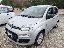 FIAT Panda 1.2 EasyPower Lounge