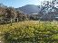Terreno 1100 mq, zona Galzignano Terme