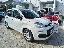 FIAT Panda 1.2 EasyPower Easy
