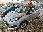 Ford fiesta 1.5 tdci black and white