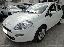 FIAT Punto 1.2 8V 5p. Lounge