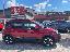 FIAT Panda Cross 1.0 FireFly S&S Hybrid Pandina