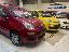 FIAT Panda 1.0 FireFly S&S Hybrid Pandina