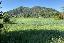 Terreno 15448 mq, zona Monticelli