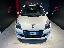 RENAULT Scénic X-Mod 1.5 dCi 110 CV Luxe