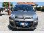 FIAT Panda 1.0 FireFly S&S Hybrid 18.900 KM