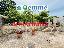Appartamento 220 mq, soggiorno, 4 camere, zona San Cesario di Lecce