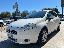 FIAT Grande Punto 1.2 3p. Dynamic