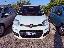 FIAT Panda 0.9 TwinAir Turbo Nat. Pow. Lounge