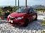 LANCIA Ypsilon 1.2 69 CV 5p. S&S Elefantino Blu