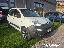 FIAT Panda 1.0 S&S Hybrid Pop Van 2 posti