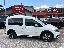 VOLKSWAGEN Caddy 2.0 TDI 122 CV 4MOTION Alltrack