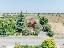 Villa 300 mq, 2 camere