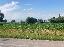 Terreno 6608 mq, zona Cadoneghe