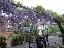 Terreno 250 mq, zona Elce