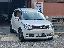 SUZUKI Ignis 1.2 Hybrid 4WD All Grip Top