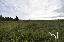 Terreno 7707 mq, zona Sacro Cuore