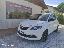 LANCIA Ypsilon 1.0 FireFly 5p.S&S Hyb. Eco Gold