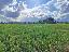 Terreno 58685 mq, zona Capannone
